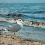 Holiday Vacation By The Sea